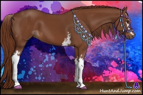 Horse Color:White Spotted Chestnut