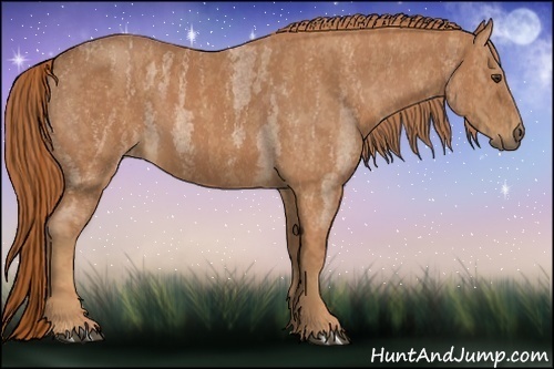 Horse Color:Red Roan  Brindle