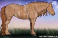 Horse Color:Red Roan  Brindle