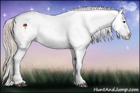 Horse Color:Chocolate Palomino Roan Near Leopard