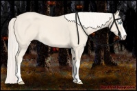 Horse Color:Cremello Sabino 