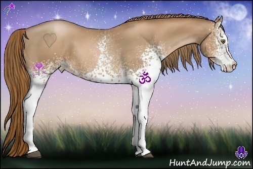 Horse Color:White Spotted Liver Chestnut Pearl 