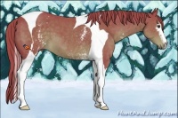 Horse Color:Watercolor White Spotted Liver Chestnut Tobiano 