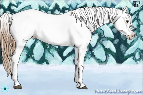 Horse Color:Liver Chestnut Pearl Sabino Snowflake VarnishRabicano 