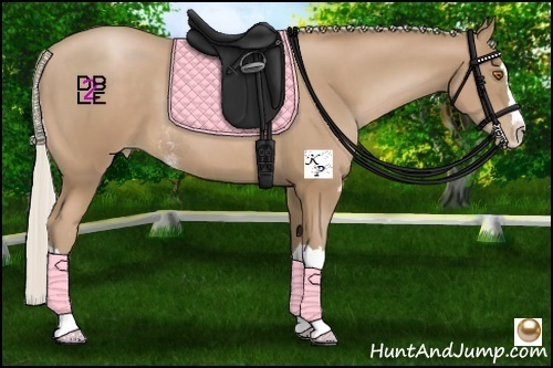 Horse Color:Silver Black Pearl Sabino Splash