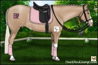 Horse Color:Silver Black Pearl Sabino Splash