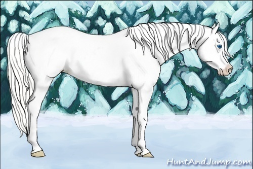 Horse Color:Silver Amber Cream Champagne Dun Splash Appaloosa Rabicano