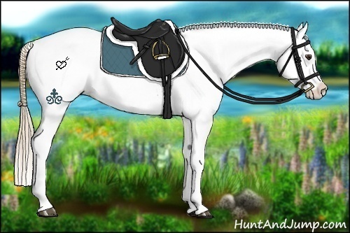 Horse Color:Chestnut Blanket