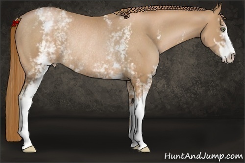 Horse Color:White Spotted Chestnut Pearl Sabino Rabicano 