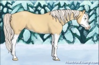 Horse Color:Silver Amber Champagne Dun Splash 