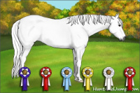 Horse Color:Gray White Spotted Grullo 