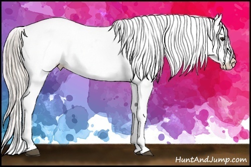 Horse Color:Silver Bay Tobiano Snowcap