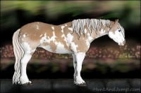 Horse Color:White Spotted Silver Brown Splash 