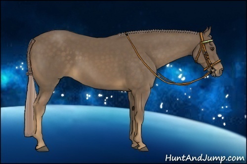 Horse Color:Chocolate Palomino 