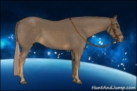 Horse Color:Chocolate Palomino