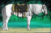 Horse Color:Brown Ice Splash Tobiano Rabicano