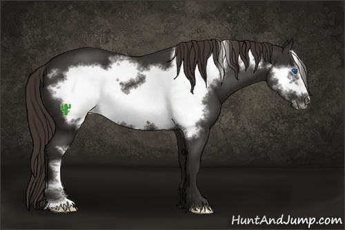 Horse Color:Liver Chestnut Frame 