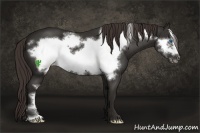 Horse Color:Liver Chestnut Frame 