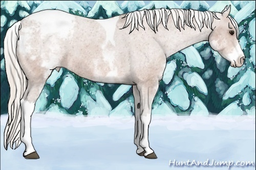Horse Color:White Spotted Silver Bay Tobiano Varnish 