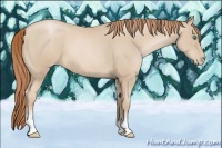 Horse Color:Smoky Black Pearl Sabino
