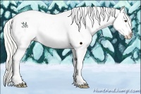 Horse Color:Liver Red Roan Mushroom Near Leopard 