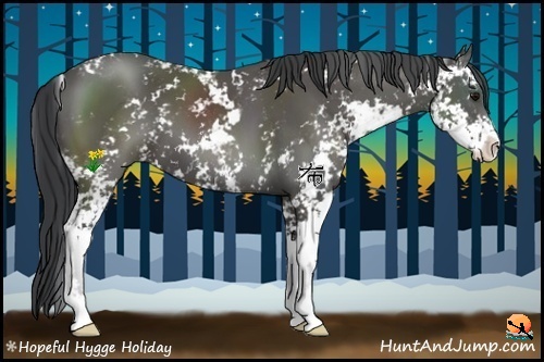 Horse Color:Black Sabino 