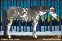 Horse Color:Black Sabino