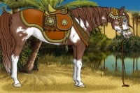 Horse Color:Chestnut Splash Frame