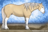 Horse Color:Silver Classic Champagne Dun Splash 