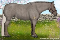Horse Color:Silver Blue Roan 