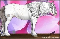 Horse Color:Bay Roan Splash Tobiano Near Leopard 