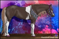 Horse Color:White Spotted Liver Chestnut Tobiano 