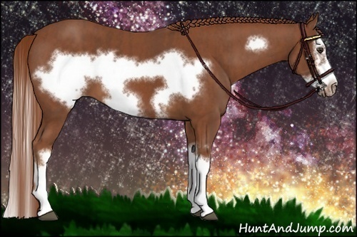Horse Color:Chestnut Splash Frame  Brindle