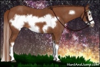 Horse Color:Chestnut Splash Frame Brindle
