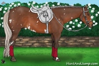 Horse Color:White Spotted Silver Brown