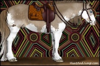 Horse Color:Liver Chestnut Splash 