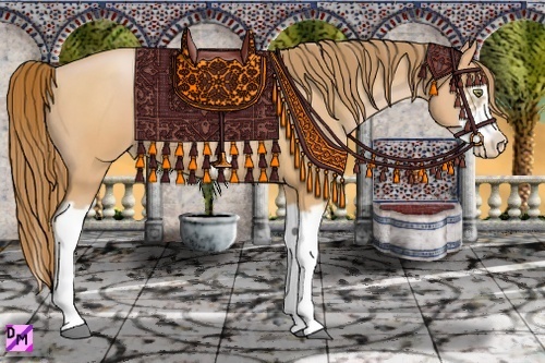 Horse Color:Bay Pearl Splash Frame 