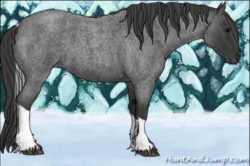 Horse Color:Blue Roan Tobiano 