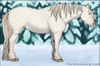Horse Color:Smoky Creme Roan Dun 