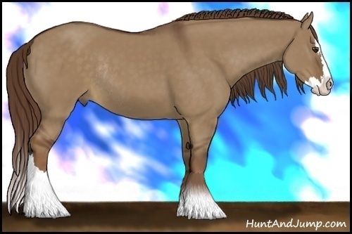 Horse Color:Liver Red Dun Sabino Splash Rabicano 