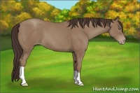 Horse Color:Classic Champagne 