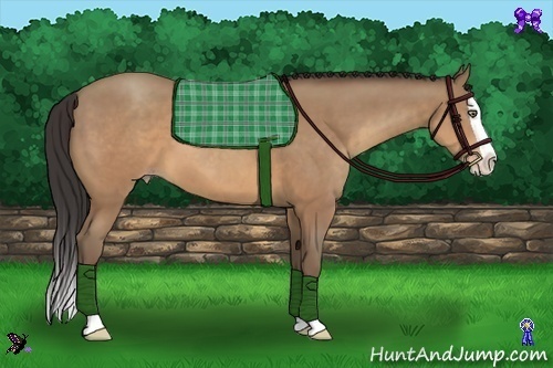 Horse Color:Sable Champagne Splash 