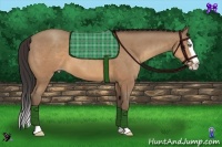 Horse Color:Sable Champagne Splash 