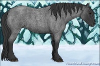 Horse Color:Blue Roan 