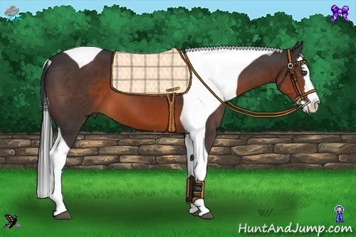 Horse Color:Brown Splash Tobiano 