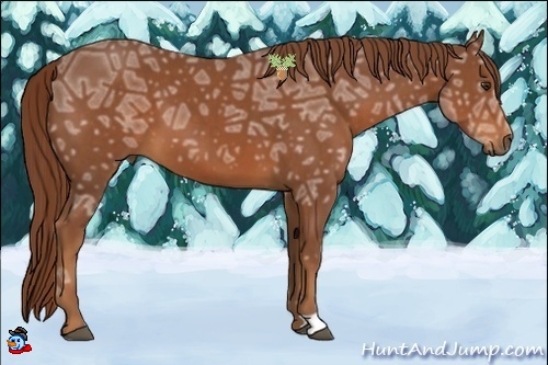 Horse Color:Chestnut Ice 