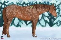 Horse Color:Chestnut Ice