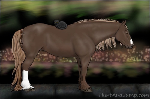 Horse Color:Liver Chestnut