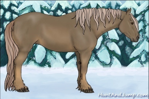Horse Color:Chocolate Palomino