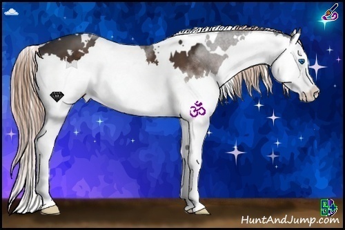 Horse Color:White Spotted Liver Chestnut Splash 